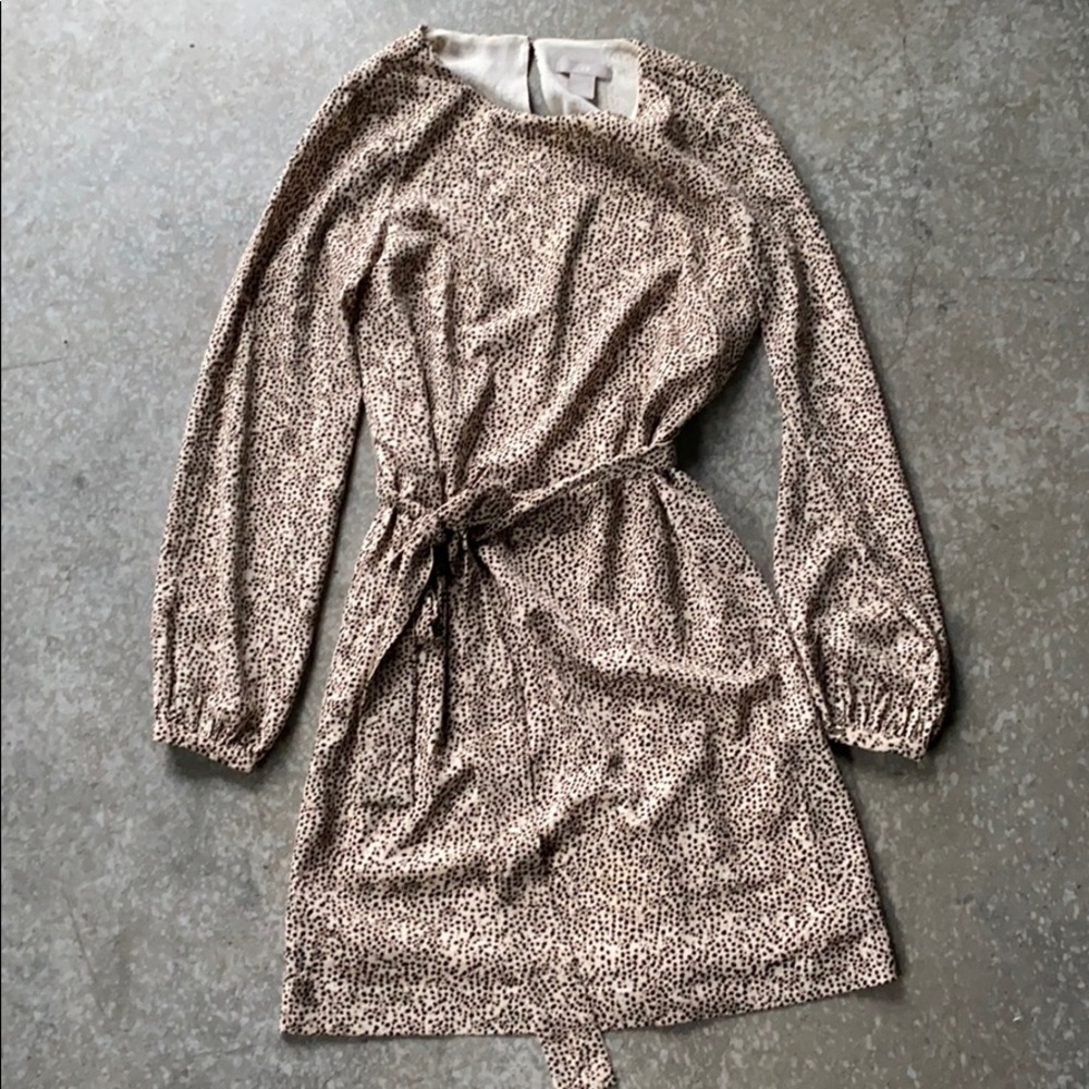 H&M Long Sleeve Leopard Short Dress